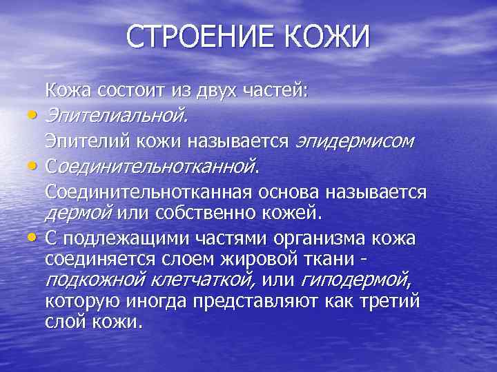 СТРОЕНИЕ КОЖИ Кожа состоит из двух частей: • Эпителиальной. • • Эпителий кожи называется