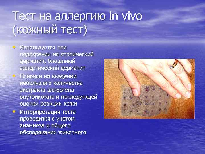 Тест на аллергию in vivo (кожный тест) • Используется при • • подозрении на