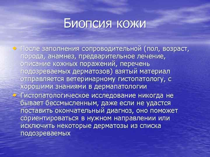 Биопсия кожи • После заполнения сопроводительной (пол, возраст, • порода, анамнез, предварительное лечение, описание