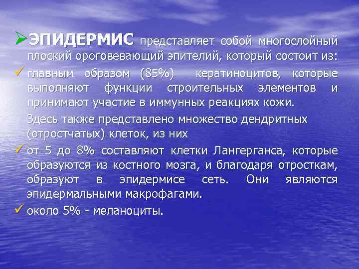 ØЭПИДЕРМИС представляет собой многослойный плоский ороговевающий эпителий, который состоит из: ü главным образом (85%)