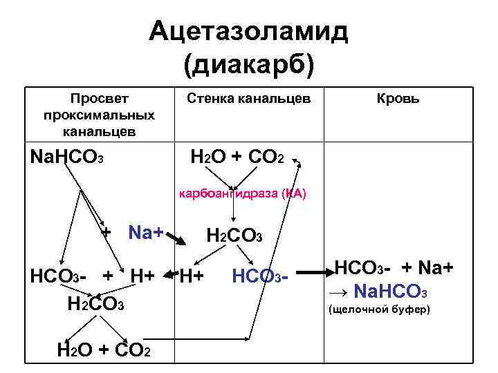 Ацетазоламид (диакарб) Просвет проксимальных канальцев Na. HCO 3 Стенка канальцев Кровь H 2 O