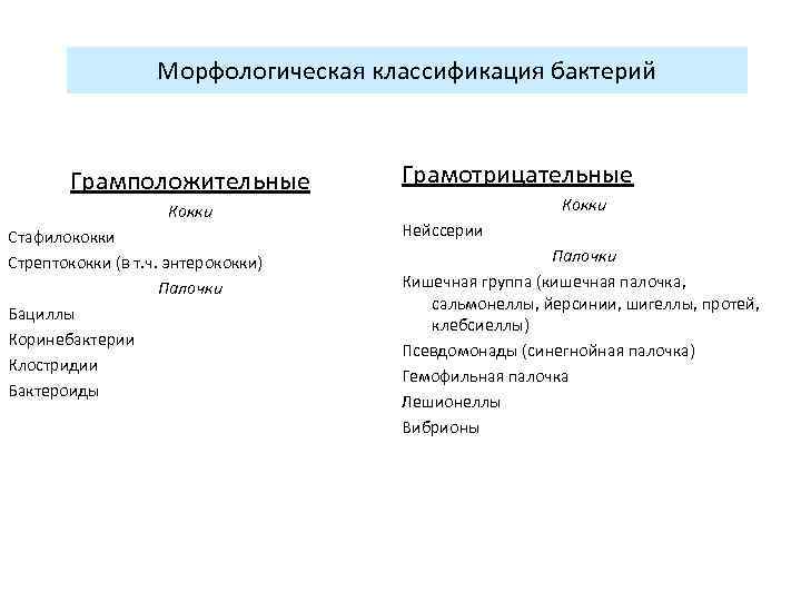 Морфологическая классификация бактерий Грамположительные Кокки Стафилококки Стрептококки (в т. ч. энтерококки) Палочки Бациллы Коринебактерии