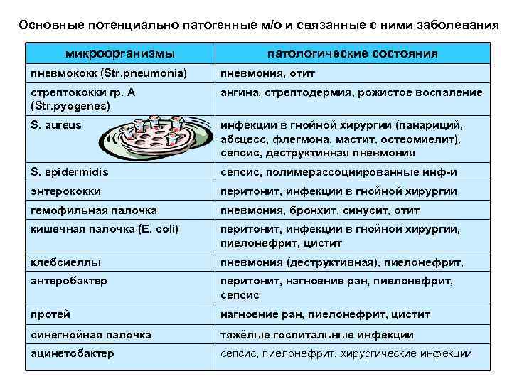 Основные потенциально патогенные м/о и связанные с ними заболевания микроорганизмы патологические состояния пневмококк (Str.