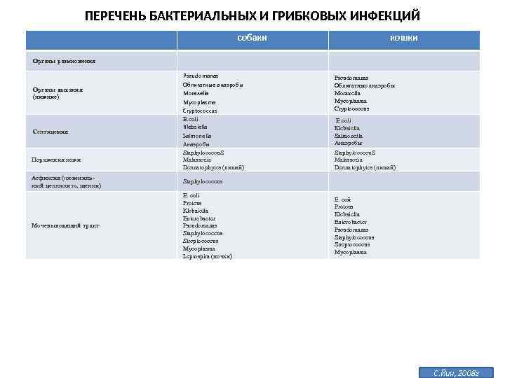 ПЕРЕЧЕНЬ БАКТЕРИАЛЬНЫХ И ГРИБКОВЫХ ИНФЕКЦИЙ собаки кошки Органы размножения Органы дыхания (нижние) Септицемия Поражения