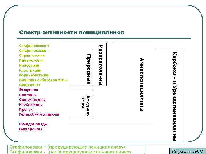 Спектр активности пенициллинов Стафилококки + (продуцирующие пенициллиназу) Стафилококки - (не продуцирующие пенициллиназу Карбокси- и