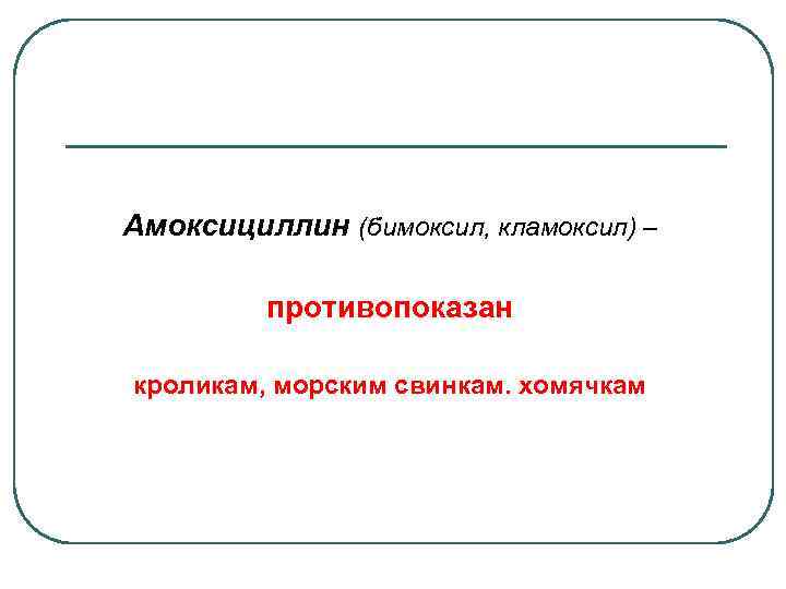 Амоксициллин (бимоксил, кламоксил) – противопоказан кроликам, морским свинкам. хомячкам 