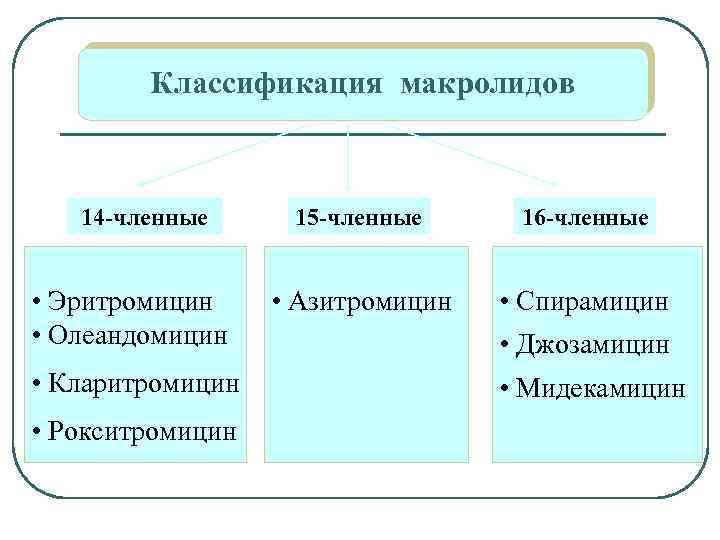 Классификация макролидов 14 -членные • Эритромицин • Олеандомицин • Кларитромицин • Рокситромицин 15 -членные