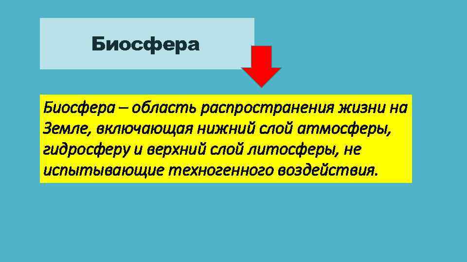 Биосфера – область распространения жизни на Земле, включающая нижний слой атмосферы, гидросферу и верхний