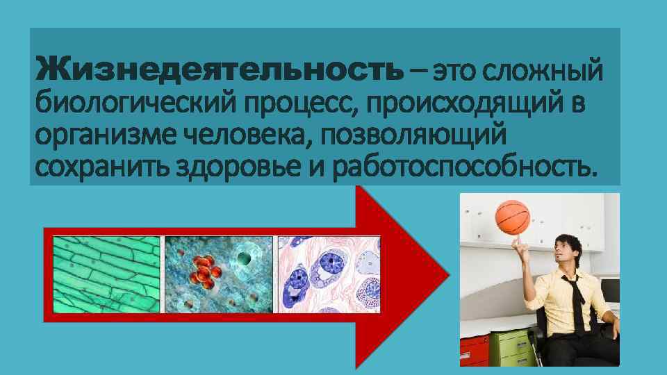 Жизнедеятельность – это сложный биологический процесс, происходящий в организме человека, позволяющий сохранить здоровье и