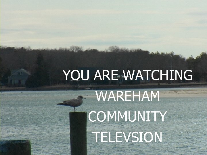 YOU ARE WATCHING WAREHAM COMMUNITY TELEVSION 