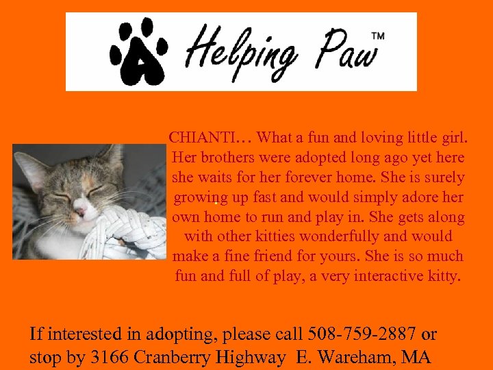 CHIANTI… What a fun and loving little girl. Her brothers were adopted long ago