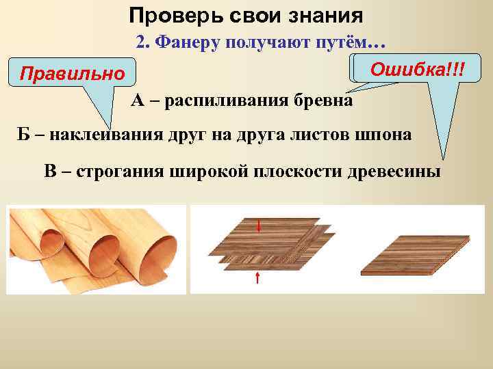 Проверь свои знания 2. Фанеру получают путём… Ошибка!!! Правильно А – распиливания бревна Б