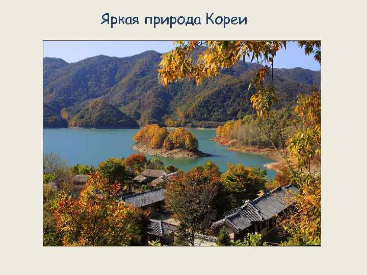 Яркая природа Кореи 