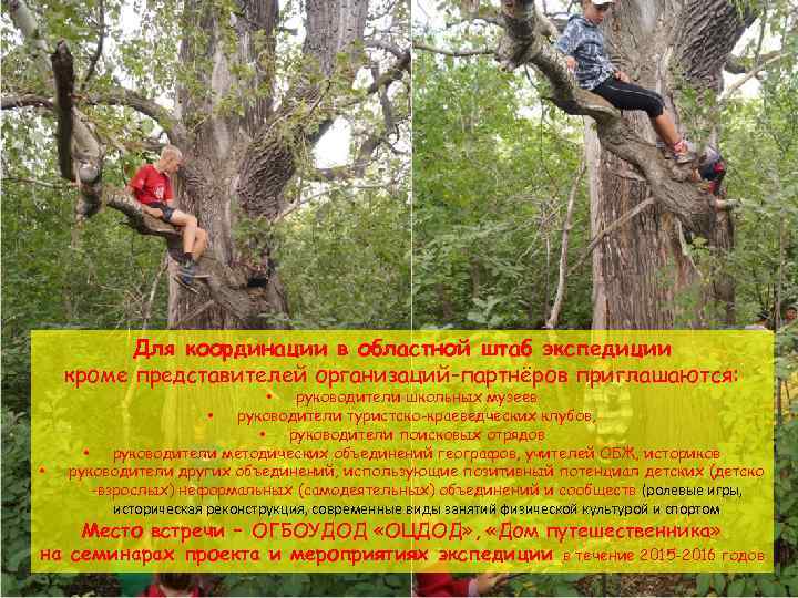 Для координации в областной штаб экспедиции кроме представителей организаций-партнёров приглашаются: • • руководители школьных