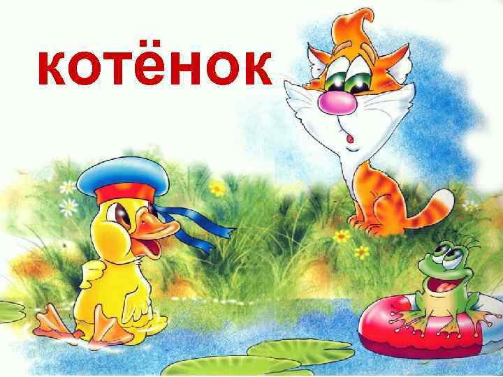 котёнок 