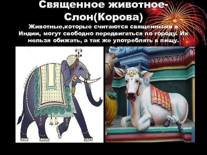 Священное животное в россии фото