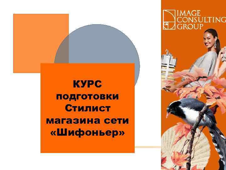 КУРС подготовки Стилист магазина сети «Шифоньер» 