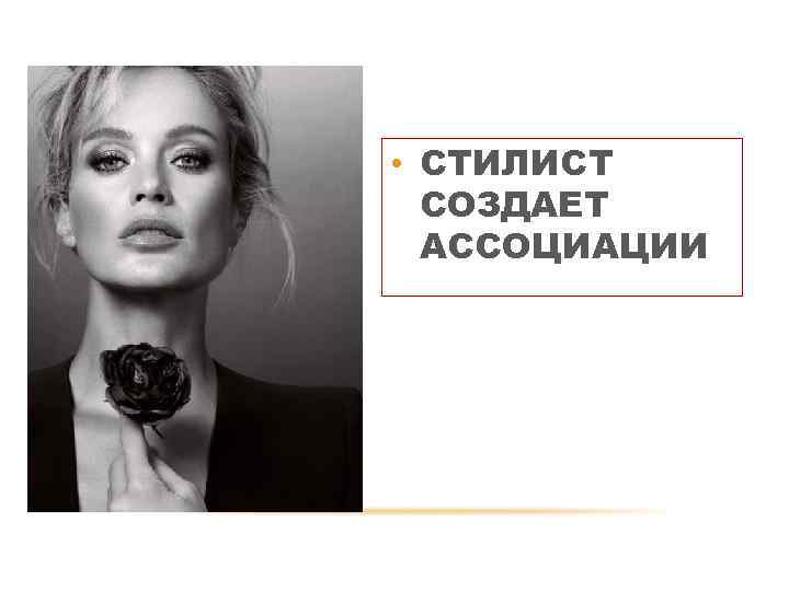  • СТИЛИСТ СОЗДАЕТ АССОЦИАЦИИ 