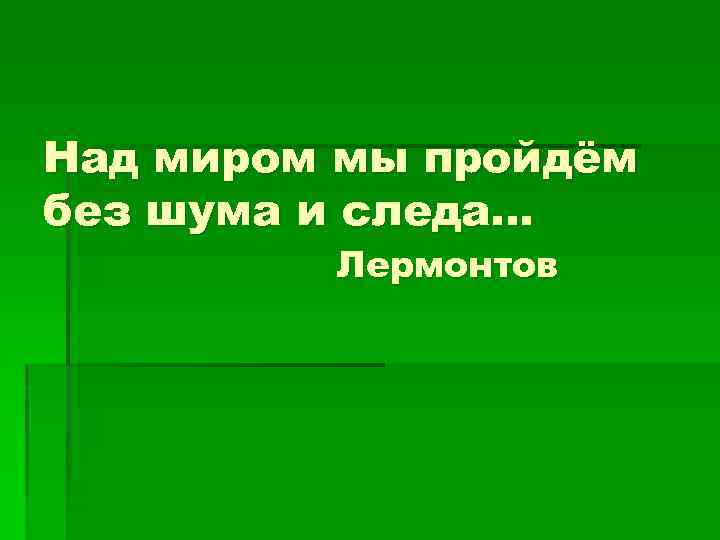 Над миром мы пройдём без шума и следа… Лермонтов 