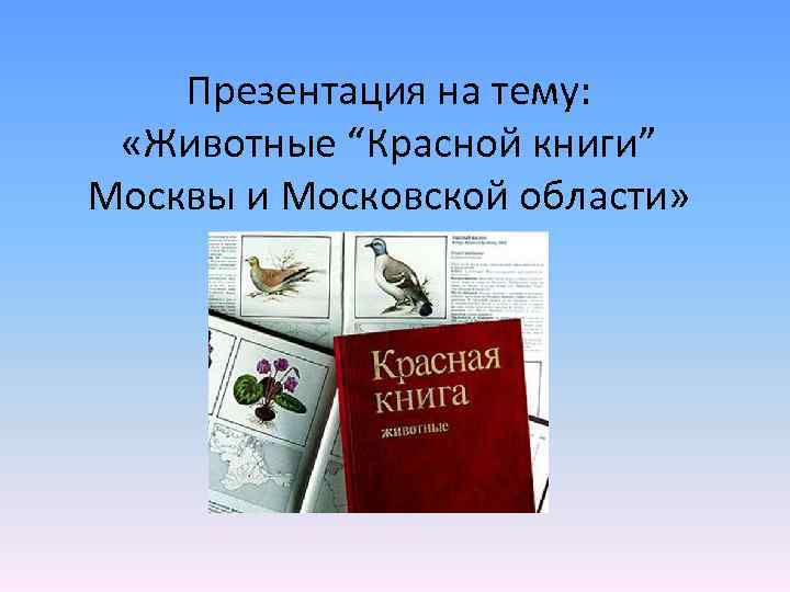 Фото красная книга московской области