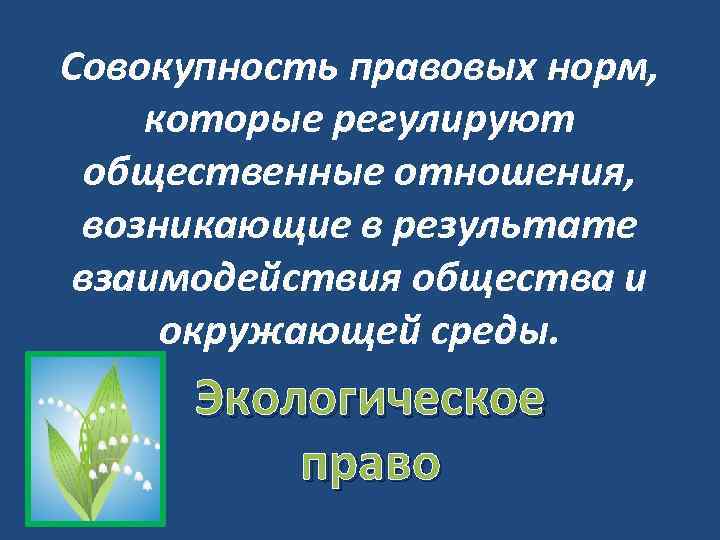 Совокупность правовых норм, которые регулируют общественные отношения, возникающие в результате взаимодействия общества и окружающей