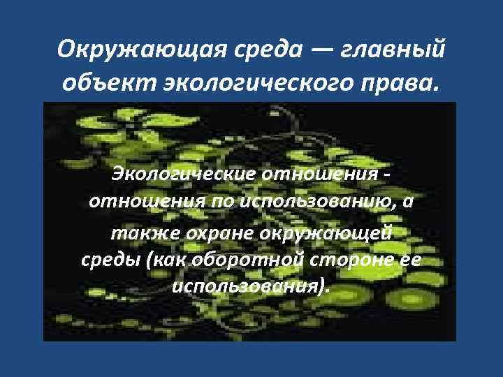 Окружающая среда — главный объект экологического права. Экологические отношения по использованию, а также охране