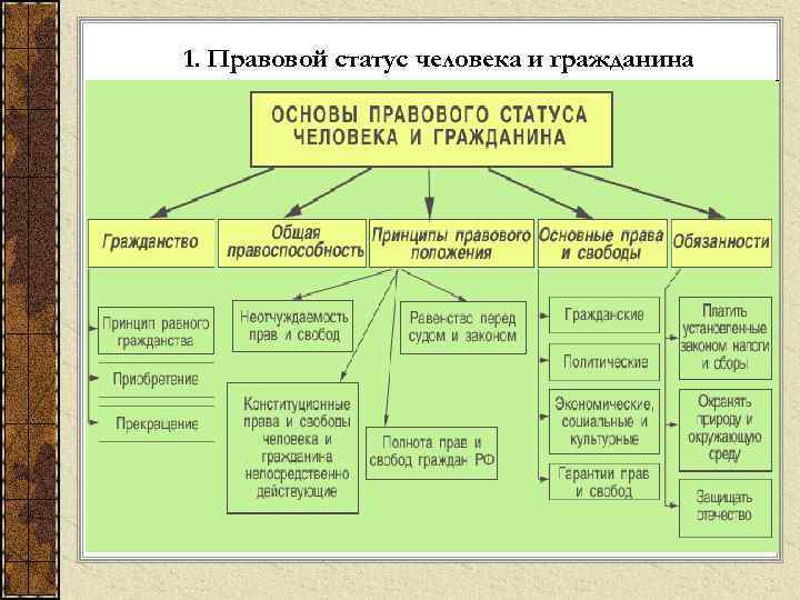 1. Правовой статус человека и гражданина 