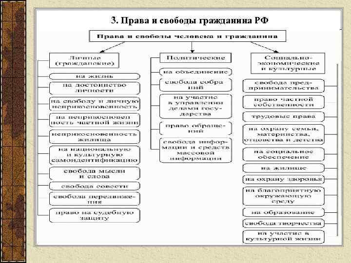 Правовой статус гражданина рф презентация