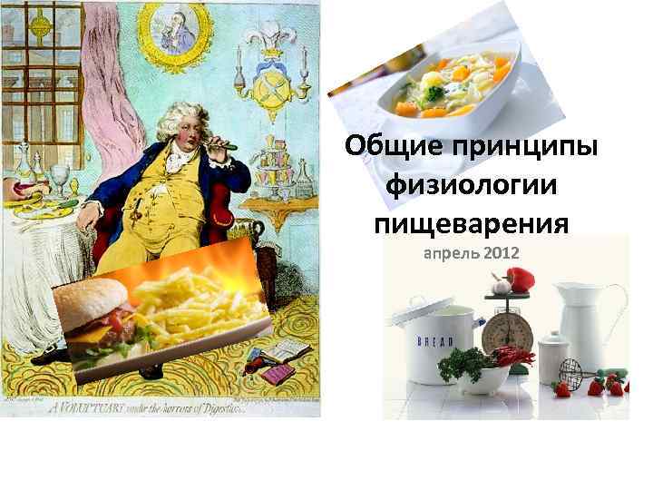 Общие принципы физиологии пищеварения апрель 2012 