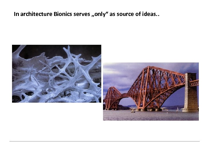 In architecture Bionics serves „only“ as source of ideas. . 