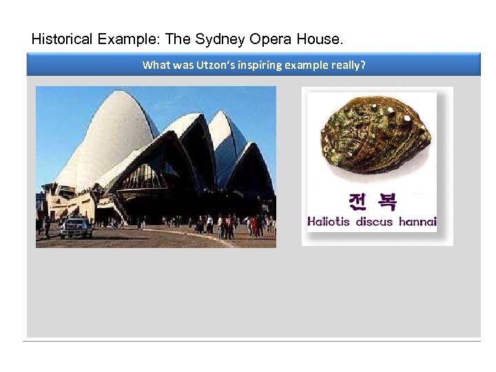 Historical Example: The Sydney Opera House. What was Utzon‘s inspiring example really? 