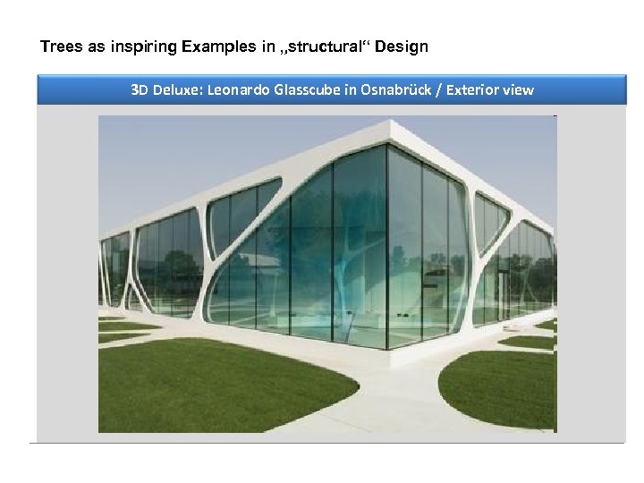 Trees as inspiring Examples in „structural“ Design 3 D Deluxe: Leonardo Glasscube in Osnabrück