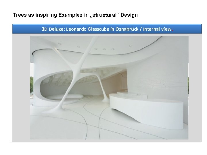 Trees as inspiring Examples in „structural“ Design 3 D Deluxe: Leonardo Glasscube in Osnabrück