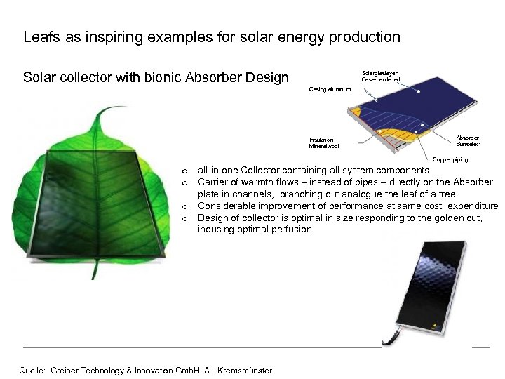 Leafs as inspiring examples for solar energy production Solar collector with bionic Absorber Design