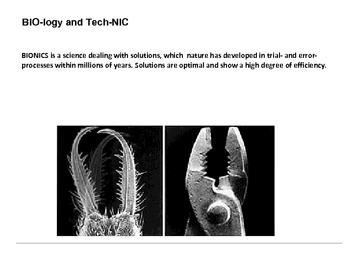 BIO-logy and Tech-NIC BIONICS is a science dealing with solutions, which nature has developed