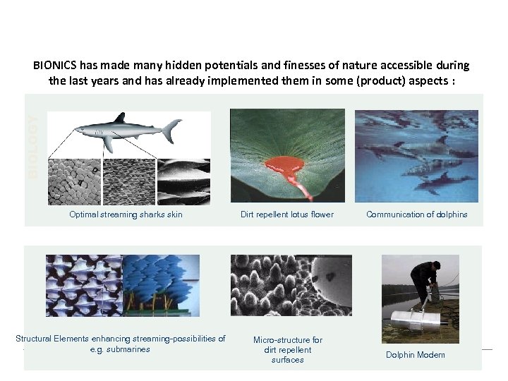 BIOLOGY BIONICS has made many hidden potentials and finesses of nature accessible during the