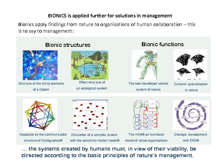 BIONICS is applied further for solutions in management Bionics apply findings from nature to