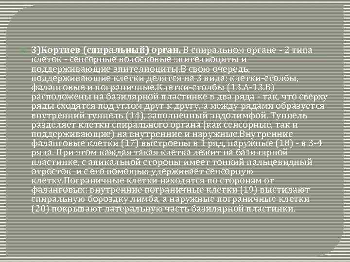  3)Кортиев (спиральный) орган. В спиральном органе - 2 типа клеток - сенсорные волосковые