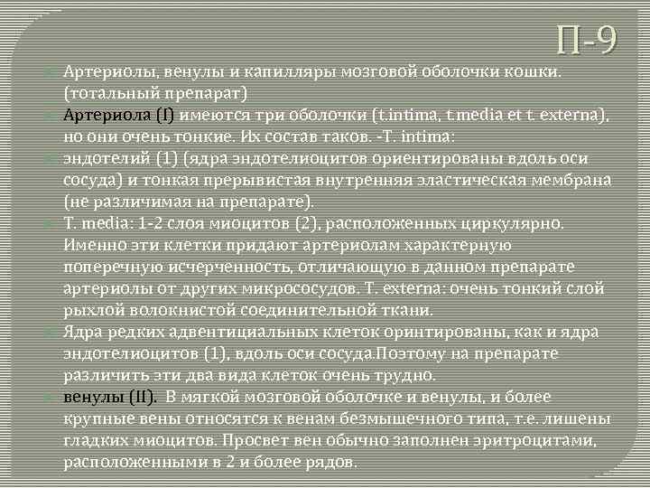 П-9 Артериолы, венулы и капилляры мозговой оболочки кошки. (тотальный препарат) Артериола (I) имеются три