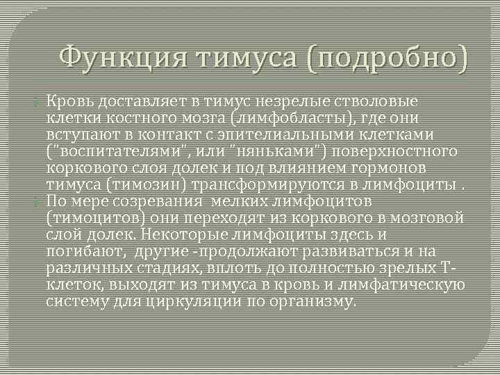 Функция тимуса (подробно) Кровь доставляет в тимус незрелые стволовые клетки костного мозга (лимфобласты), где