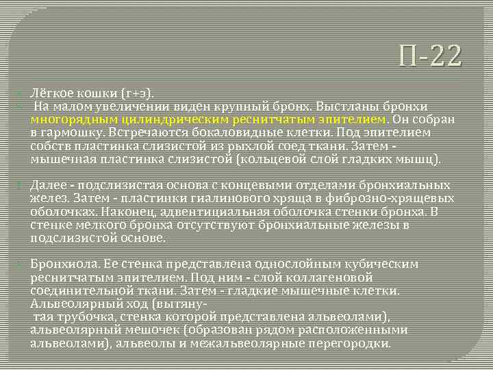П-22 Лёгкое кошки (г+э). На малом увеличении виден крупный бронх. Выстланы бронхи многорядным цилиндрическим