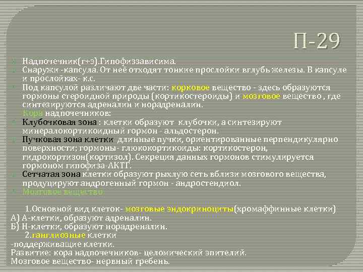 П-29 Надпочечник(г+э). Гипофиззависима. Снаружи -капсула. От неё отходят тонкие прослойки вглубь железы. В капсуле