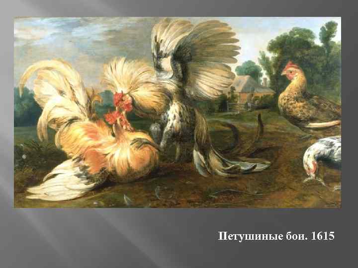 Петушиные бои. 1615 