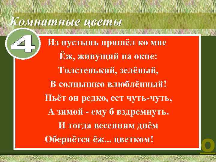 Комнатные цветы 4 Из пустынь пришёл ко мне Ёж, живущий на окне: Толстенький, зелёный,