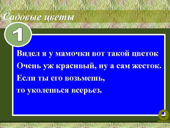 Садовые цветы 8 Видел я у мамочки вот такой цветок Очень уж красивый, ну