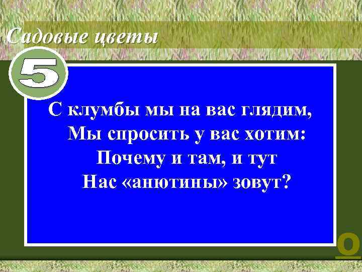 Садовые цветы 8 С клумбы мы на вас глядим, Мы спросить у вас хотим: