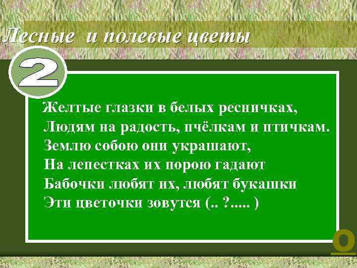 Лесные и полевые цветы Желтые глазки в белых ресничках, Людям на радость, пчёлкам и