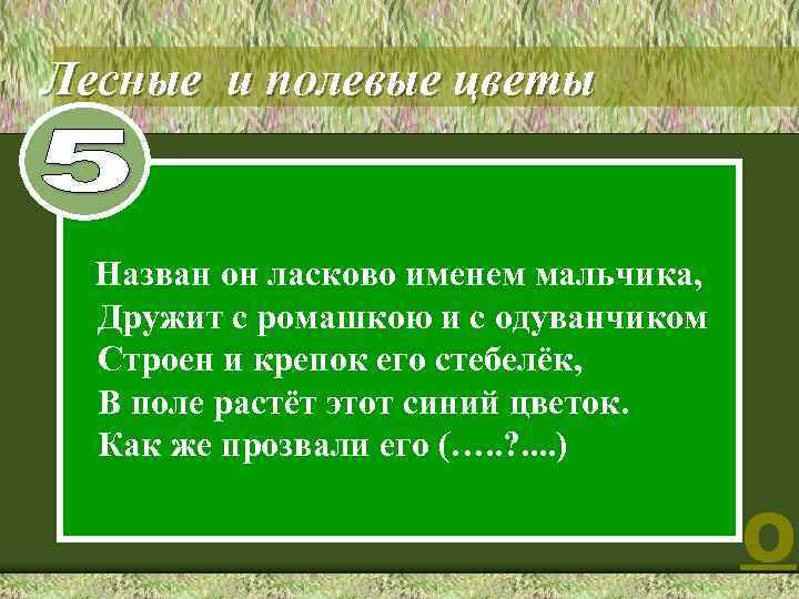 Лесные и полевые цветы Назван он ласково именем мальчика, Дружит с ромашкою и с