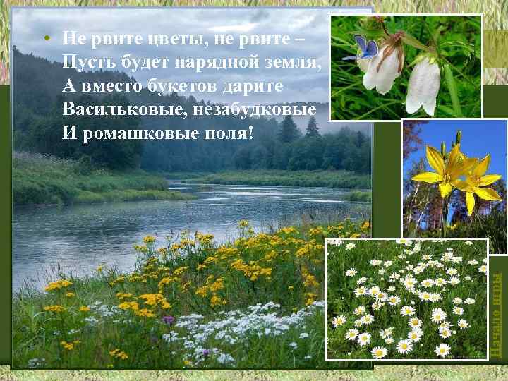 Начало игры • Не рвите цветы, не рвите – Пусть будет нарядной земля, А