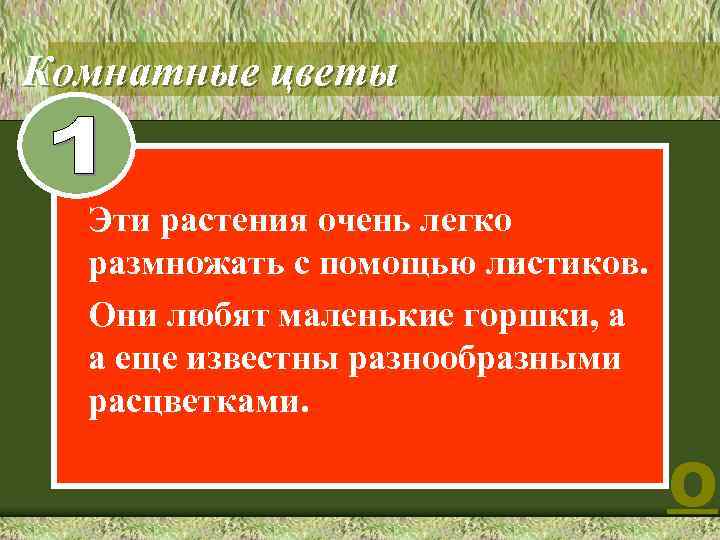 1 Комнатные цветы Эти растения очень легко размножать с помощью листиков. Они любят маленькие